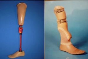 protezydolnikoncetiny